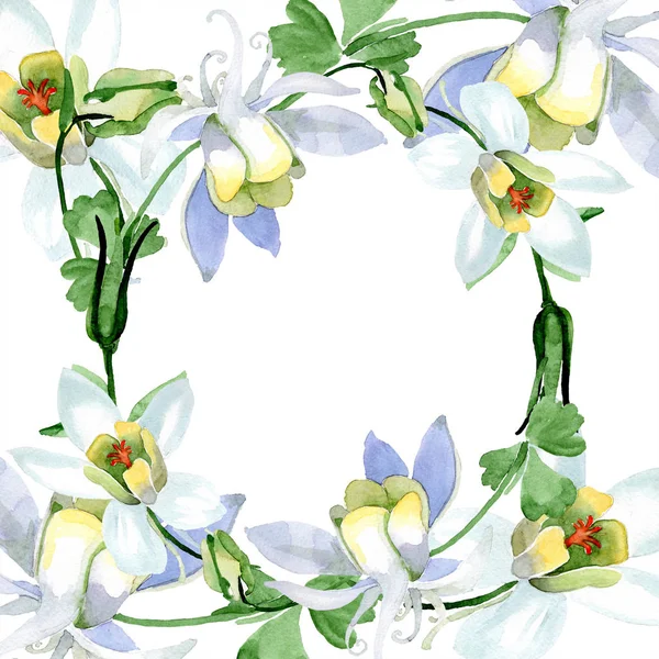 White Aquilegia Flowers Frame Ornament Watercolor Background Illustration Beautiful Aquilegia — Stock Photo, Image