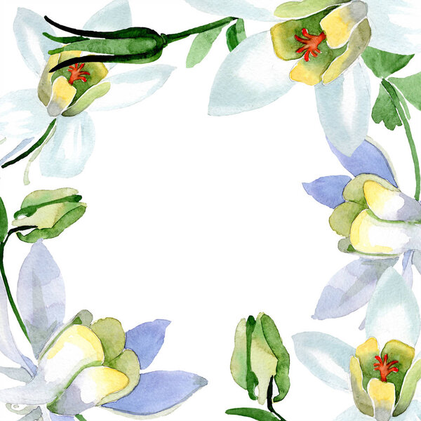 White aquilegia flowers. Frame border round ornament. Watercolor background illustration. Beautiful aquilegia flowers drawing in aquarelle style. — Stock Image White Aquilegia Flowers Frame Border Ornament Watercolor Background Illustration Beautiful Stock Photo