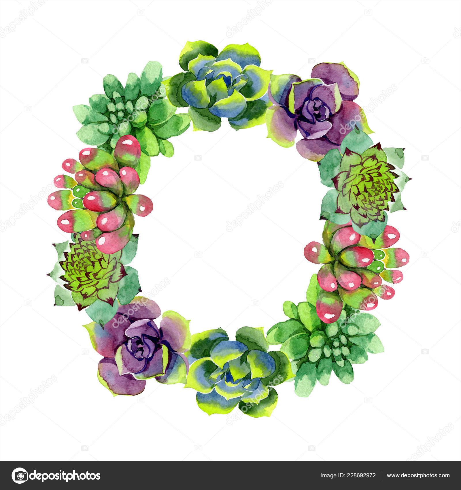 驚くほどの多肉植物 水彩画背景イラスト フレーム枠飾りリース アクワレル手描きの多肉の植物 無料 のストック写真 C Andreyanush