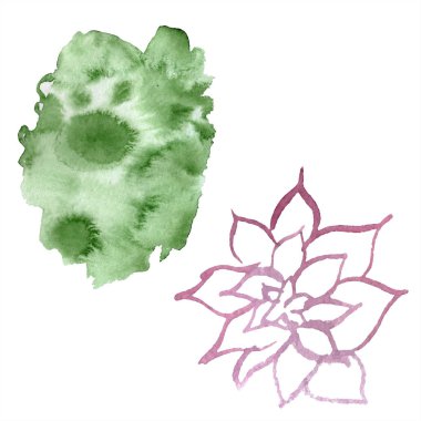 Soyut Yeşil aquarelle sıçrama arka plan, doku için. Suluboya arka plan illüstrasyon. Aquarelle el izole lezzetli bitki çizimi.