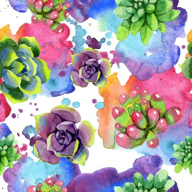 Şaşırtıcı succulents. Suluboya arka plan illüstrasyon. Sorunsuz arka plan deseni. Kumaş duvar kağıdı yazdırma doku.