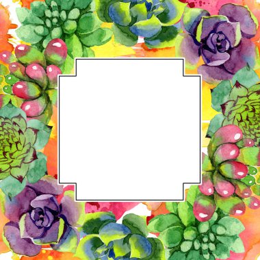 Şaşırtıcı succulents. Suluboya arka plan illüstrasyon. Geometrik kare kare. Aquarelle el etli bitki çizimi.