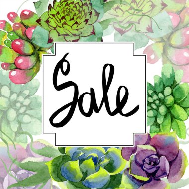 Şaşırtıcı succulents. Satılık el yazısı monogram hat. Suluboya arka plan illüstrasyon. Çerçeve kenarlığı süsleme Meydanı. Aquarelle el etli bitki çizimi.