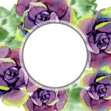 Şaşırtıcı succulents. Suluboya arka plan illüstrasyon. Çerçeve kenarlığı süsleme yuvarlak. Aquarelle el etli bitki çizimi.