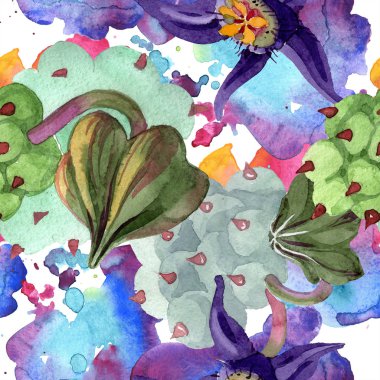 Duvalia çiçekler. Suluboya arka plan illüstrasyon. Aquarelle çizilmiş etli bitkiler ver. Sorunsuz arka plan deseni. Kumaş duvar kağıdı yazdırma doku.