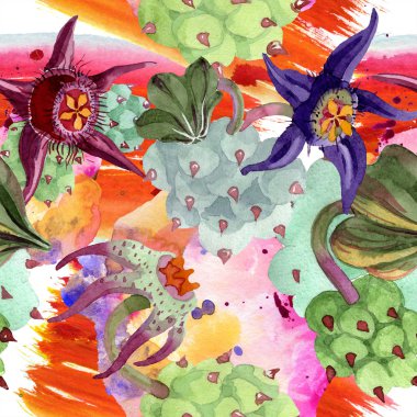 Duvalia çiçekler. Suluboya arka plan illüstrasyon. Aquarelle çizilmiş etli bitkiler ver. Sorunsuz arka plan deseni. Kumaş duvar kağıdı yazdırma doku.