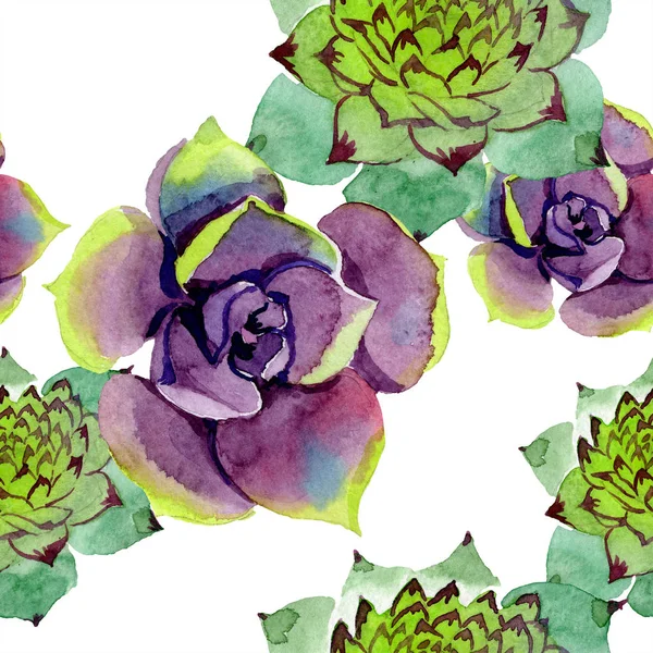 Amazing Succulents Watercolor Background Illustration Seamless Background Pattern Fabric Wallpaper — Stock Photo, Image