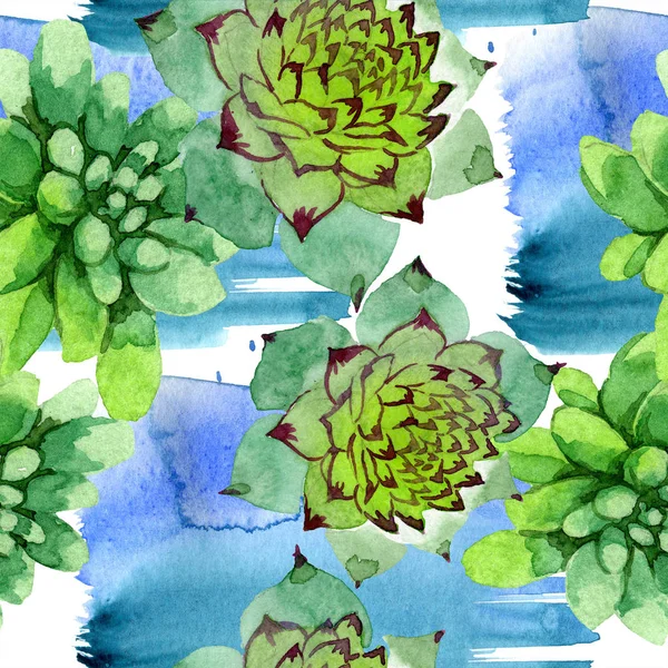 Amazing Succulents Watercolor Background Illustration Seamless Background Pattern Fabric Wallpaper — Free Stock Photo