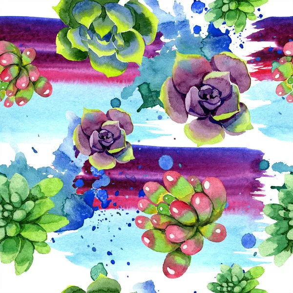 Amazing Succulents Watercolor Background Illustration Seamless Background Pattern Fabric Wallpaper — Stock Photo, Image