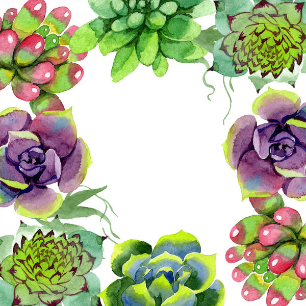 Amazing succulents. Watercolor background illustration. Floral square frame. Aquarelle hand drawing succulent plants.