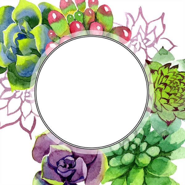 Amazing succulents. Watercolor background illustration. Frame border ornament round. Aquarelle hand drawing succulent plants.