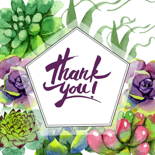 Amazing Succulents Thank You Handwriting Monogram Calligraphy Watercolor Background Illustration — Free Stock Photo
