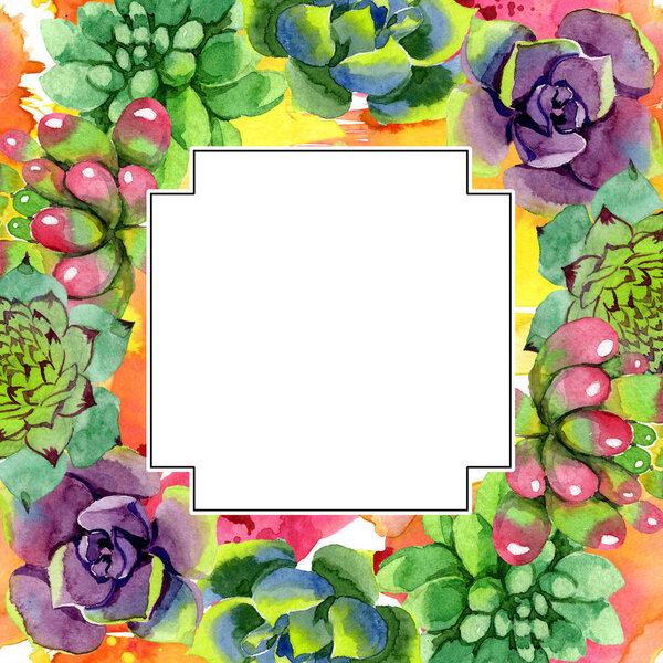 Amazing succulents. Watercolor background illustration. Geometric frame square. Aquarelle hand drawing succulent plants.