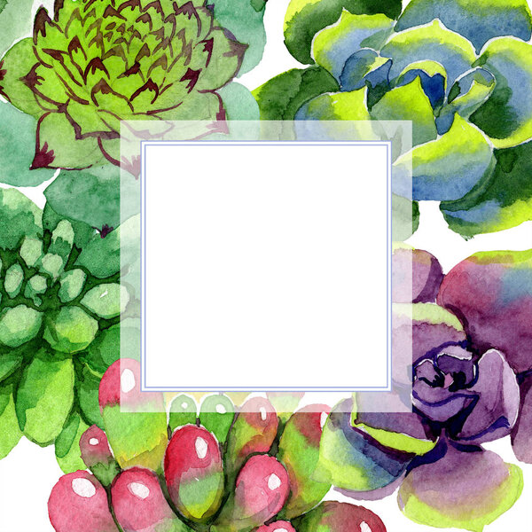 Amazing succulents. Watercolor background illustration. Frame square. Aquarelle hand drawing succulent plants.