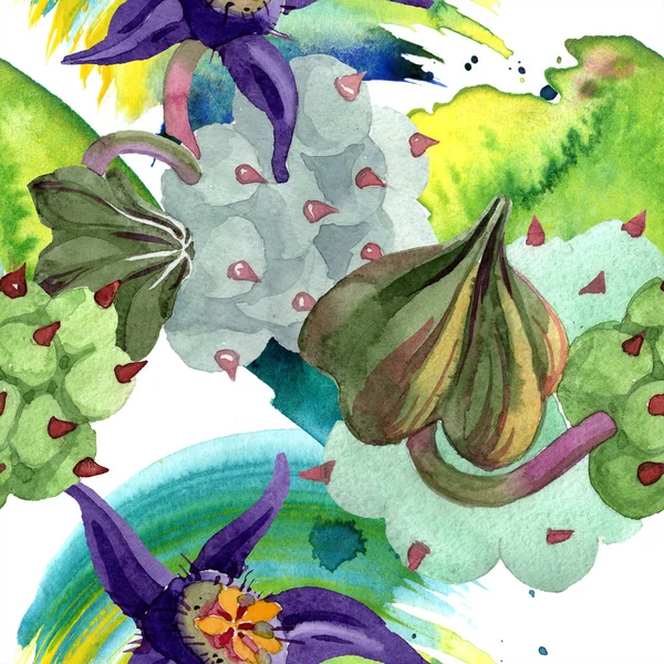 Duvalia Flowers Watercolor Background Illustration Aquarelle Hand Drawn Succulent Plants — Stock Photo, Image