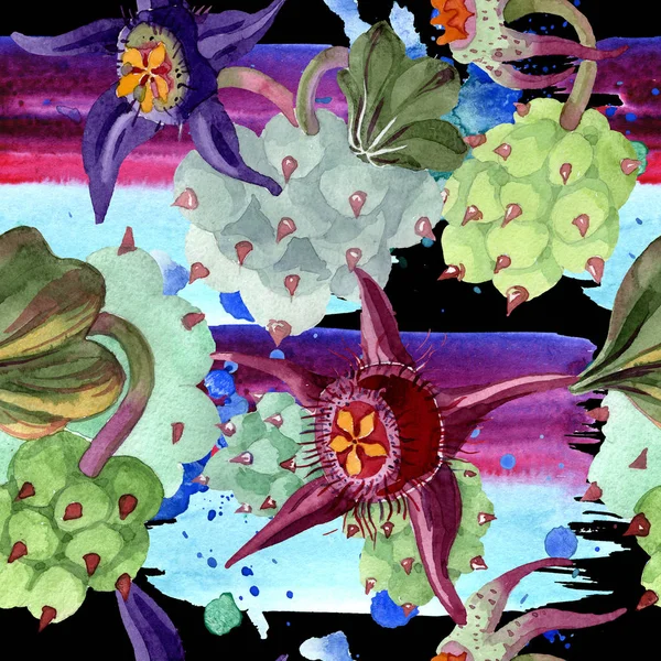 Duvalia Flowers Watercolor Background Illustration Aquarelle Hand Drawn Succulent Plants — Free Stock Photo
