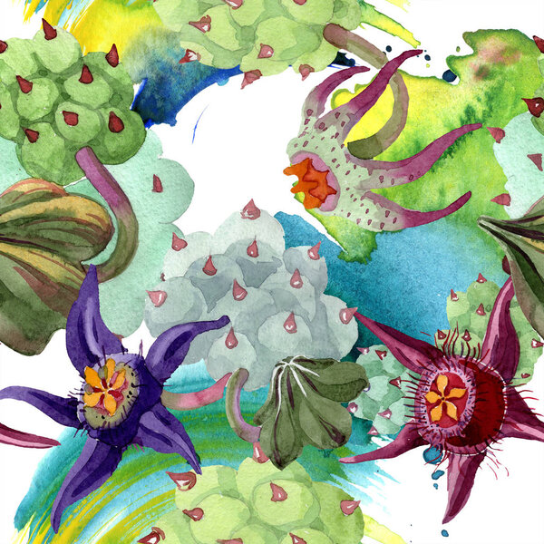 Duvalia flowers. Watercolor background illustration. Aquarelle hand drawn succulent plants. Seamless background pattern. Fabric wallpaper print texture.