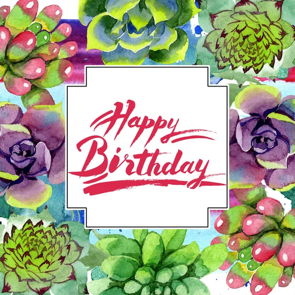 Amazing Succulents Happy Birthday Handwriting Monogram Calligraphy Watercolor Background Illustration — Stock Photo, Image