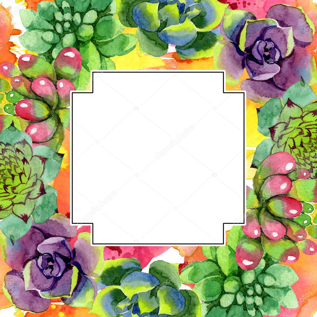 Amazing succulents. Watercolor background illustration. Geometric frame square. Aquarelle hand drawing succulent plants.