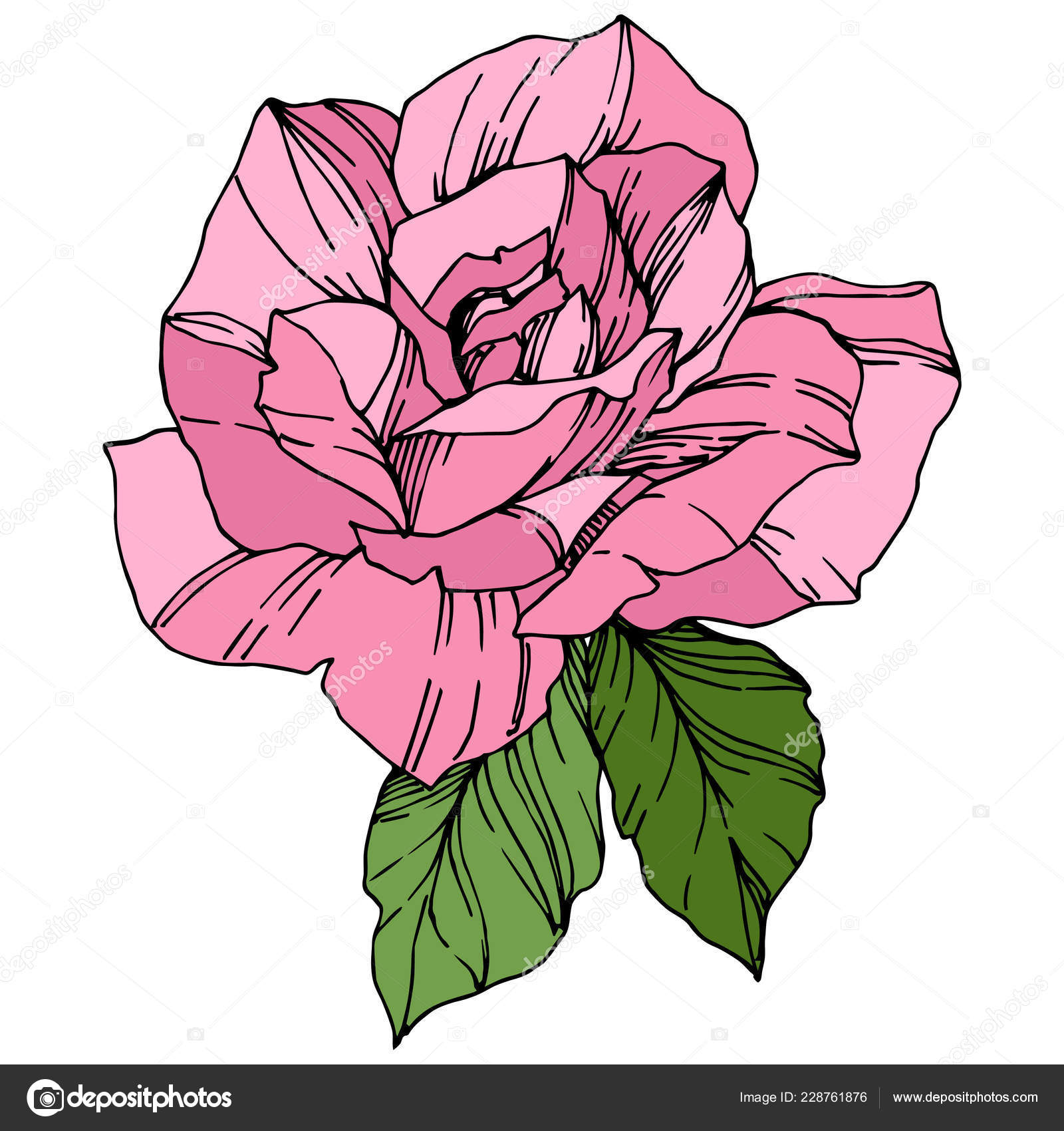 Top 25 Free Printable Beautiful Rose Coloring Pages for Kids