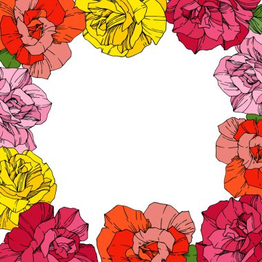 Vektör gül. Botanik çiçek çiçekler. Kırmızı, pembe ve sarı oyulmuş mürekkep sanat. Çiçek sınır kare illüstrasyon.