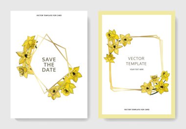 Vector Narcissus flowers. Wedding cards with floral decorative borders. Yellow engraved ink art. Thank you, rsvp, invitation elegant cards illustration graphic set banners.