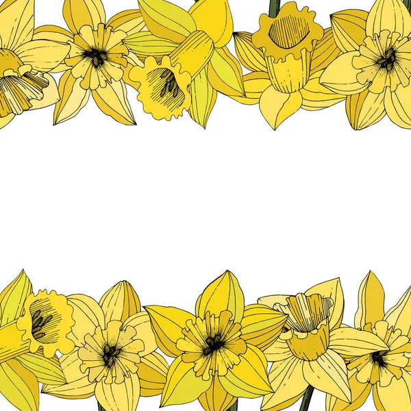 Vector Narciso Flores Tinta Amarilla Grabada Adorno Floral Fronterizo Sobre — Vector de stock