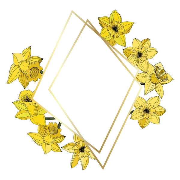 Vector Narcissus Flowers Yellow Engraved Ink Art Frame Border Ornament — Stock Vector