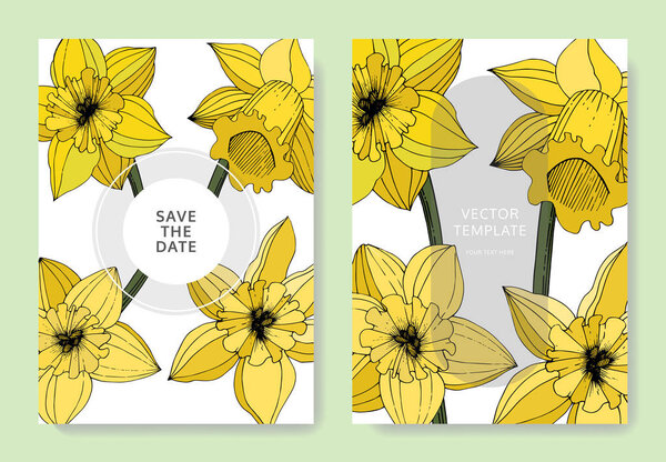 Vector Narcissus flowers. Wedding cards with floral decorative borders. Yellow engraved ink art. Thank you, rsvp, invitation elegant cards illustration graphic set banners.