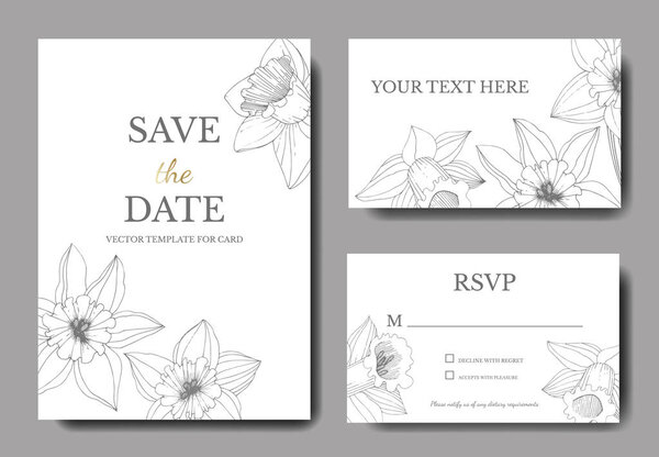 Vector Narcissus flowers. Wedding cards with floral decorative borders. Black and white engraved ink art. Thank you, rsvp, invitation elegant cards illustration graphic set banners.
