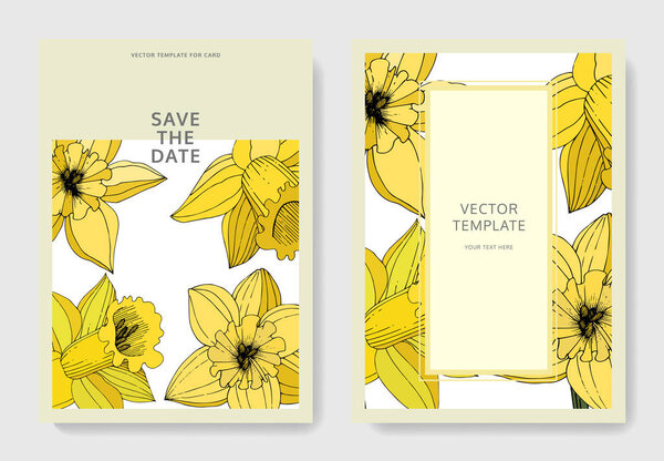 Вектор Нарцисс цветы. Свадебные открытки с цветочными декоративными границами. Желтая гравировка чернил. Спасибо, rsvp, приглашение.
.