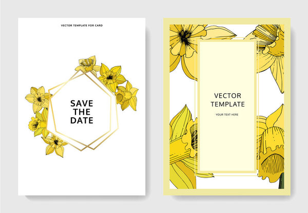 Vector Narcissus flowers. Wedding cards with floral decorative borders. Yellow engraved ink art. Thank you, rsvp, invitation elegant cards illustration graphic set banners.