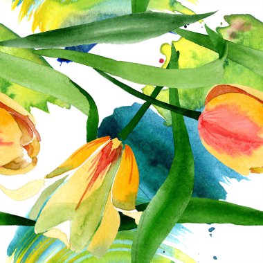 Güzel sarı laleler beyaz izole yeşil yaprakları ile. Suluboya arka plan illüstrasyon. Sorunsuz arka plan deseni. Kumaş duvar kağıdı yazdırma doku. 