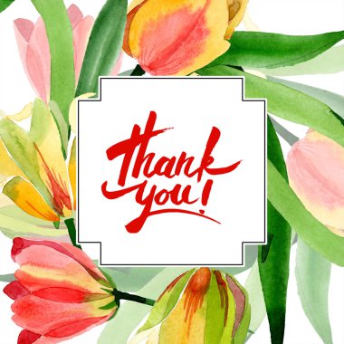 Güzel sarı laleler beyaz izole yeşil yaprakları ile. Suluboya arka plan illüstrasyon. Teşekkür ederim hat.