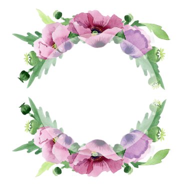 Beyaz izole güzel Bordo haşhaş çiçekleri. Suluboya arka plan illüstrasyon. Moda aquarelle çizim suluboya haşhaş izole. Çerçeve kenarlığı süsleme.