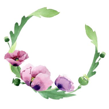 Beyaz izole güzel Bordo haşhaş çiçekleri. Suluboya arka plan illüstrasyon. Moda aquarelle çizim suluboya haşhaş izole. Çerçeve kenarlığı süsleme.