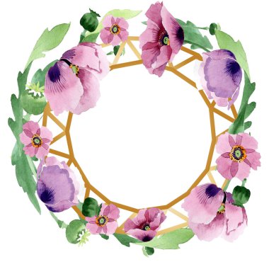 Beyaz izole güzel Bordo haşhaş çiçekleri. Suluboya arka plan illüstrasyon. Moda aquarelle çizim suluboya haşhaş izole. Çerçeve kenarlığı süsleme.