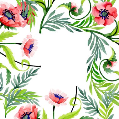 Beyaz izole güzel kırmızı haşhaş ile süsleme. Suluboya arka plan illüstrasyon. Suluboya çizim moda aquarelle. Çerçeve kenarlığı çiçek süsleme.