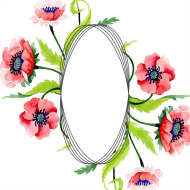 Beyaz izole güzel kırmızı haşhaş ile süsleme. Suluboya arka plan illüstrasyon. Suluboya çizim moda aquarelle. Çerçeve kenarlığı çiçek süsleme.