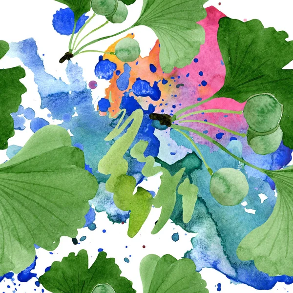 Mooie Groene Ginkgo Biloba Met Bladeren Wit Wordt Geïsoleerd Aquarel — Gratis stockfoto