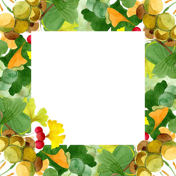 Beautiful green ginkgo biloba with leaves isolated on white. Watercolor background illustration. Watercolour drawing fashion aquarelle isolated on white. Frame border ornament.