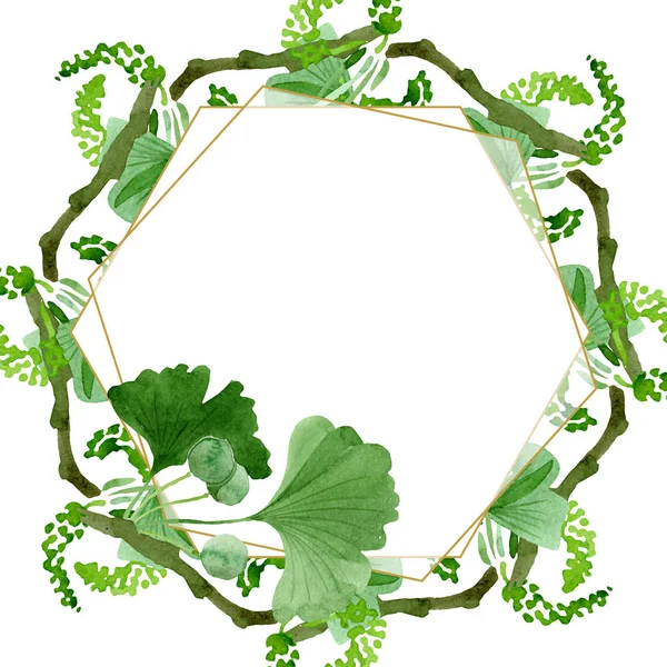 Hermoso Ginkgo Biloba Verde Con Hojas Aisladas Blanco Ilustración Fondo — Foto de stock gratis