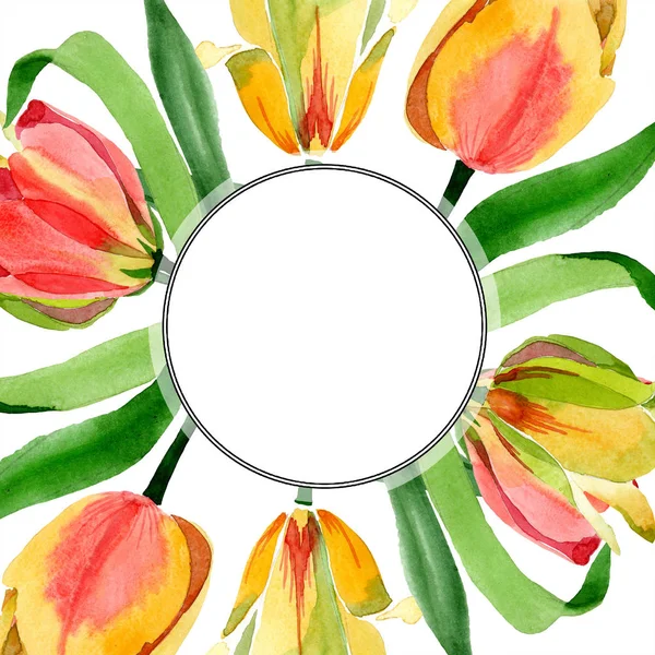 Hermosos Tulipanes Amarillos Con Hojas Verdes Aisladas Blanco Ilustración Fondo — Foto de stock gratis