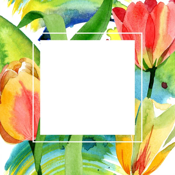 Güzel sarı laleler beyaz izole yeşil yaprakları ile. Suluboya arka plan illüstrasyon. Suluboya çizim moda aquarelle. Çerçeve kenarlığı süsleme.