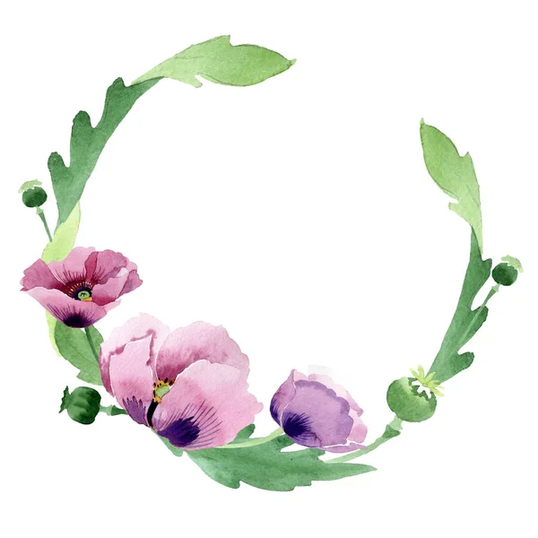 Beautiful Burgundy Poppy Flowers Isolated White Watercolor Background Illustration Watercolour — Stock Photo, Image