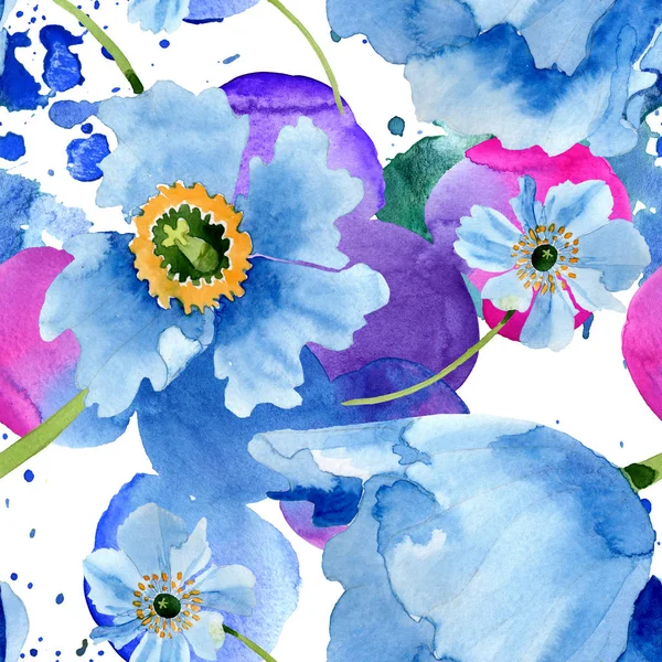 Piękne Niebieskie Kwiaty Maku Zielonych Liści Białym Tle Ilustracji Tle — Zdjęcie stockowe