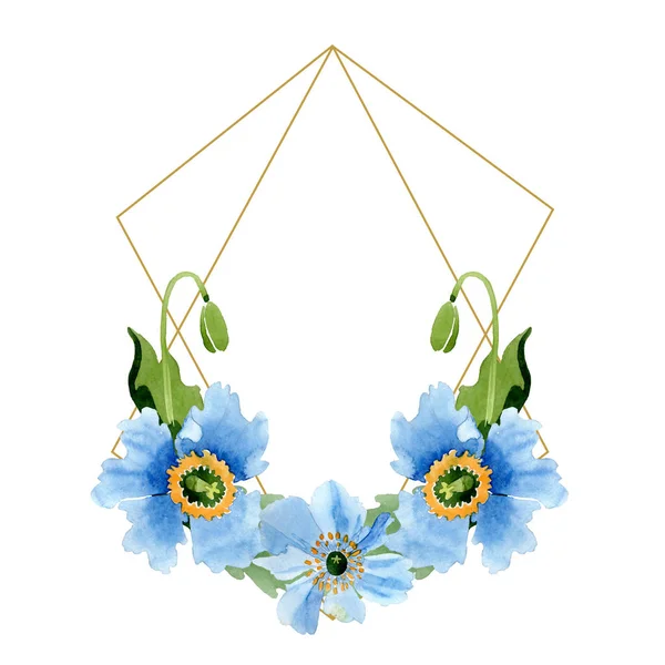 Mooie Blauwe Klaproos Bloemen Met Groene Bladeren Wit Wordt Geïsoleerd — Gratis stockfoto