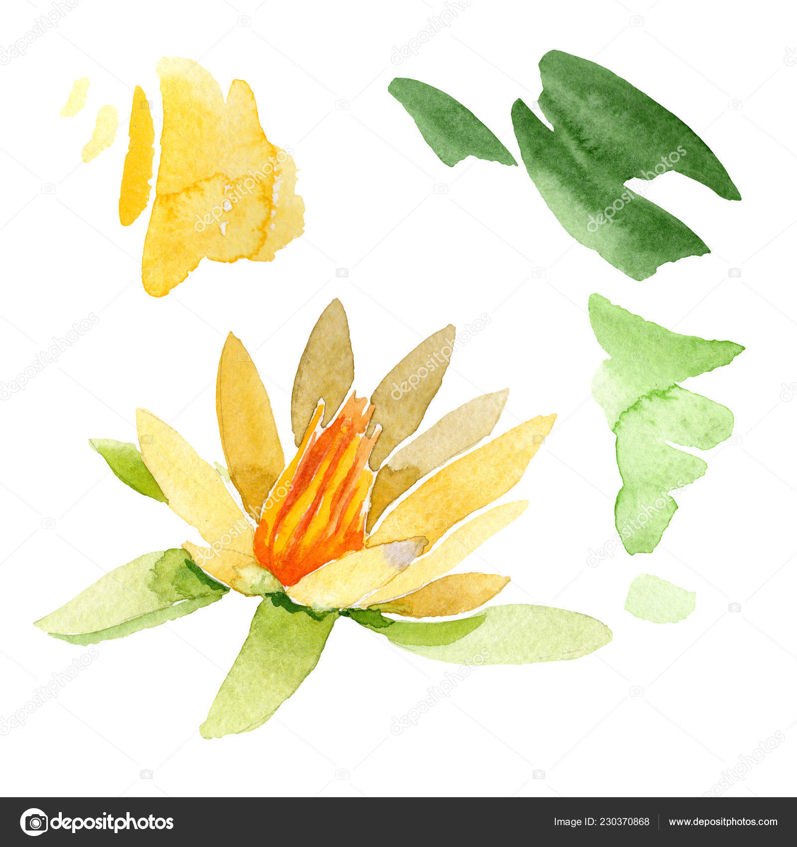 黄色の蓮の花は 白で隔離 水彩画背景イラスト 水彩ファッション Aquarelle 孤立したロータスの図要素を描画 無料のストック写真 C Andreyanush