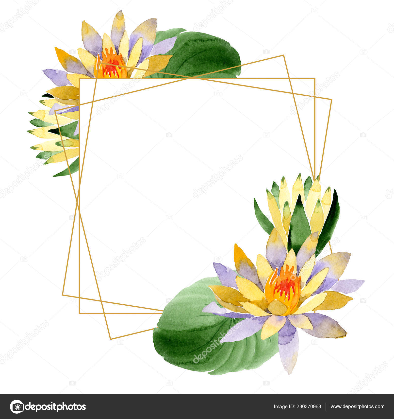 黄色の蓮 花植物の花 野生春葉のワイルドフラワーが分離されました 水彩画背景イラスト セット 水彩描画のファッション Aquarelle 分離します フレーム枠飾りスクエア 無料のストック写真 C Andreyanush
