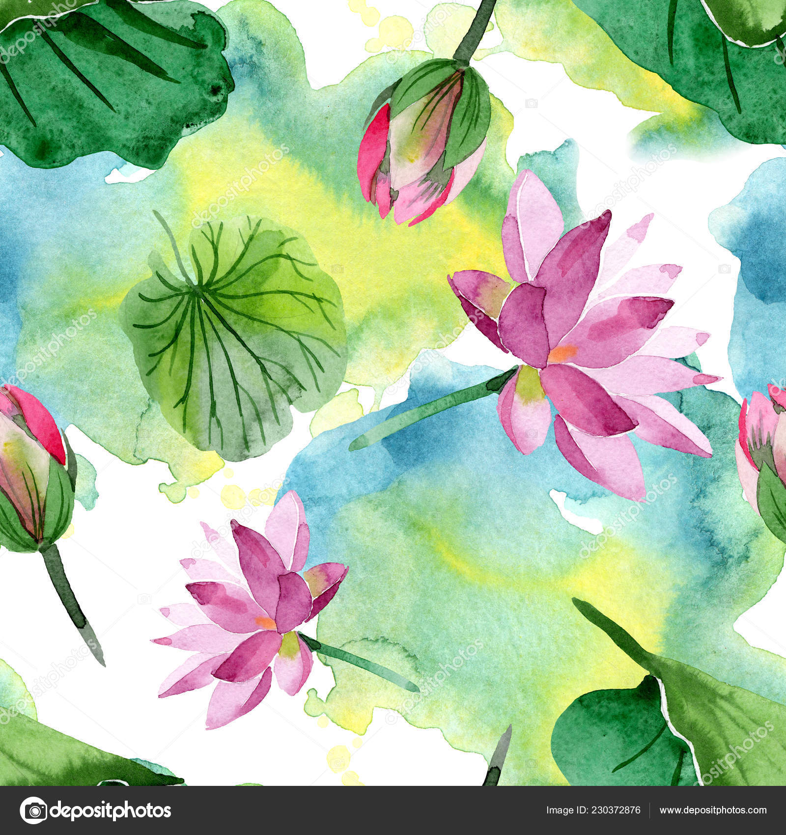 Beautiful Purple Lotus Flowers Isolated White Watercolor Background  Illustration Watercolour Stock Photo by ©AndreYanush 230372876
